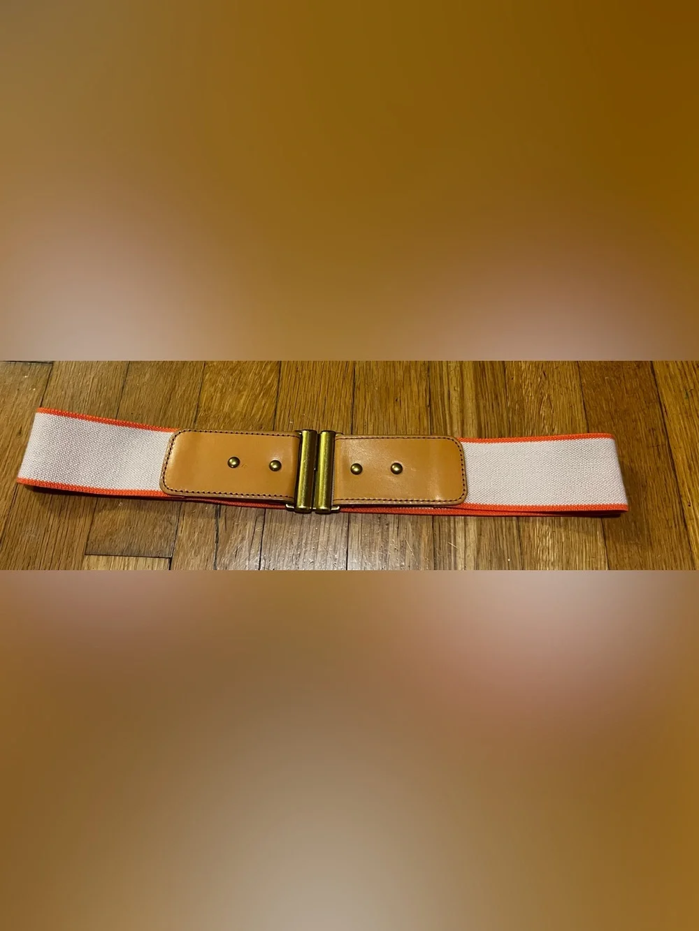 Fossil Beige Elastic Belt with Tan Leather and Gold-Tone Buckle